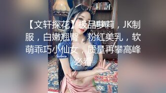 枫花恋粉丝的自我修养