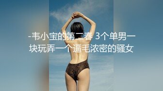 -韦小宝的第二春 3个单男一块玩弄一个逼毛浓密的骚女