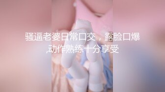 P站20万粉华裔网黄「北京瑶瑶」「Lonelymeow」OF旅游性爱日记 3P百合爆菊潮吹露出【第八弹】 (1)