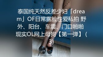 泰国纯天然反差少妇「dream」OF日常露脸性爱私拍 野外、阳台、车震、门口啪啪 现实OL网上母狗【第一弹】 (3)