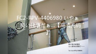 FC2-PPV-4406980 いやぁ、良い仕事だぁ…【高清无码】