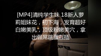 [MP4]外围小姐姐 漂亮高颜值美乳 见到猛男春心萌动做爱气氛佳