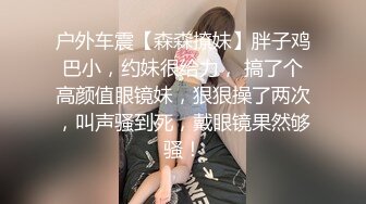 户外车震【森森撩妹】胖子鸡巴小，约妹很给力， 搞了个高颜值眼镜妹，狠狠操了两次，叫声骚到死，戴眼镜果然够骚！