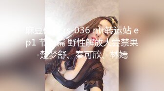 027夫妻做爱三部曲之前戏:小怪兽加口交