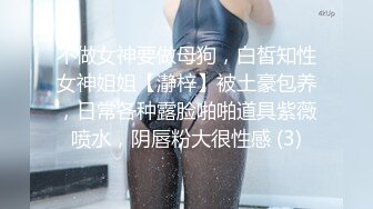 不做女神要做母狗，白皙知性女神姐姐【瀞梓】被土豪包养，日常各种露脸啪啪道具紫薇喷水，阴唇粉大很性感 (3)