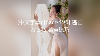 (中文字幕) [nacr-496] 逃亡者と私 若宮穂乃