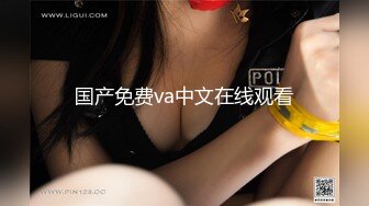 国产免费va中文在线观看