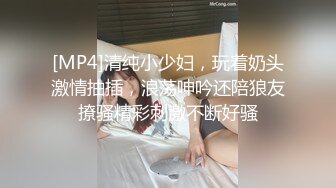 反差婊，白天空姐晚上母狗