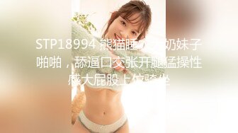 10月的女仆日记