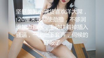 坚挺美乳小骚货喜欢洋大屌，20厘米长屌使劲撸，不够润滑加点口水，主动扶着掉插入骚逼，一上一下套弄，伺候的舒服了