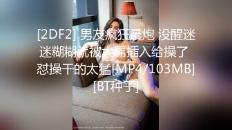 优雅气质尤物御姐女神✿美艳新婚人妻偷偷约会，大鸡巴倒入深插 直接顶到底 爽翻了，娇嫩小蜜穴被无情蹂躏