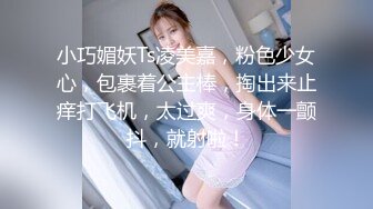 小巧媚妖Ts凌美嘉，粉色少女心，包裹着公主棒，掏出来止痒打飞机，太过爽，身体一颤抖，就射啦！