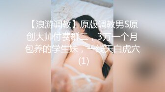 反差妓女～雪儿之后入+正入+露脸摸胸