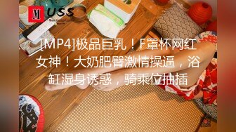 [MP4]极品骚妻榨精神器 有点肉的女人才是极品 圆润蜜臀饱满湿滑嫩鲍