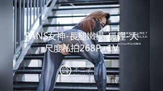 PANS女神-長腿嫩模-狐貍-大尺度私拍268P+1V