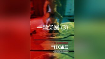 【超美颜值美艳女神】秀人超人气女神『杨晨晨』土豪定制超大尺度 露脸无内真空黑丝 骑乘抽动做爱