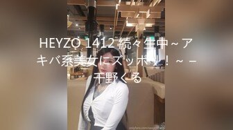 heyzo-2528