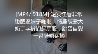 成都少妇系列