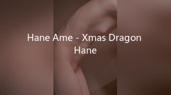 Hane Ame - Xmas Dragon Hane