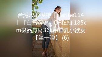 台湾JVID模特「elarine114」「白雪蘿綝」OF私拍 185cm极品身材36F吊钟乳小欲女【第一弹】 (6)