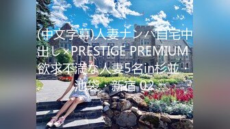 (中文字幕)人妻ナンパ自宅中出し×PRESTIGE PREMIUM 欲求不満な人妻5名in杉並・池袋・新宿 02