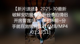 【新片速遞】 2025-30最新破解安防摄像头新台偷拍情侣开房誓言总❤️在上床前~分手就在激情后[1316MB/MP4/01:23:11]