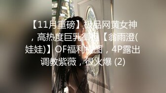 【11月重磅】极品网黄女神，高热度巨乳御姐【翁雨澄(娃娃)】OF福利视图，4P露出调教紫薇，很火爆 (2)