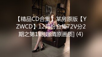 【精品CD合集】某房原版【YZWCD】12月份合集72V分2期之第1期[超清原画质] (4)