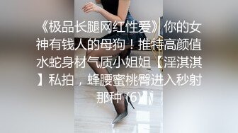 《极品长腿网红性爱》你的女神有钱人的母狗！推特高颜值水蛇身材气质小姐姐【淫淇淇】私拍，蜂腰蜜桃臀进入秒射那种 (6)