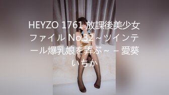 HEYZO 1761 放課後美少女ファイル No.32～ツインテール爆乳娘を弄ぶ～ – 愛葵いちか