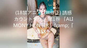 (18禁アニメ) (無修正) 誘惑カウントダウン 第1巻 「ALIMONY HUNTER」&amp;「SEEK」