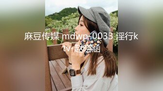 麻豆传媒 mdwp-0033 淫行ktv-赵晓涵