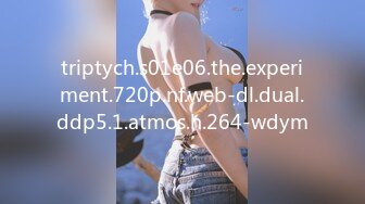 triptych.s01e06.the.experiment.720p.nf.web-dl.dual.ddp5.1.atmos.h.264-wdym